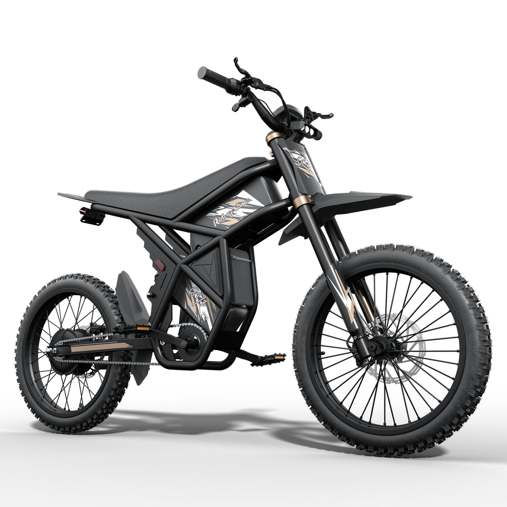 Riding Times GT73 -48V