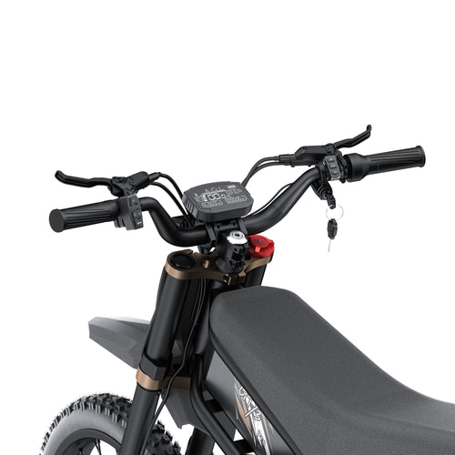 Riding Times GT73 -48V